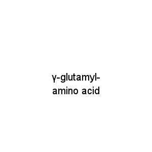 γ-glutamyl-amino acid